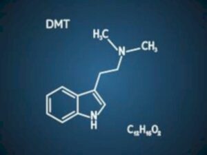 adicción aL DMT