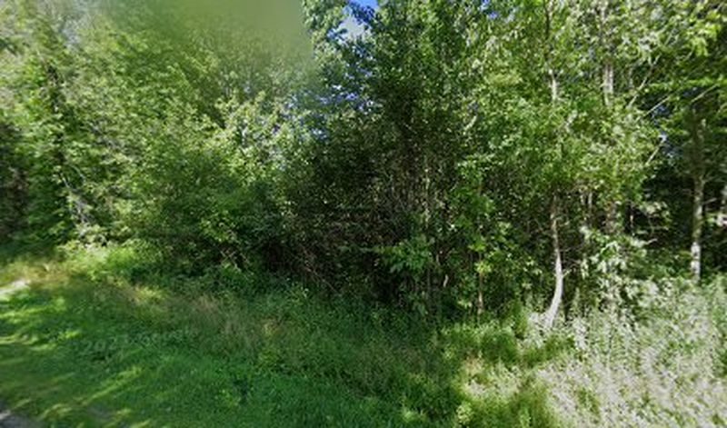 foto deFarnham Family Services