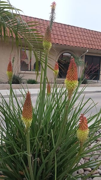 foto deMFI Recovery Center Riverside Outpatient Services and Administrative Offices