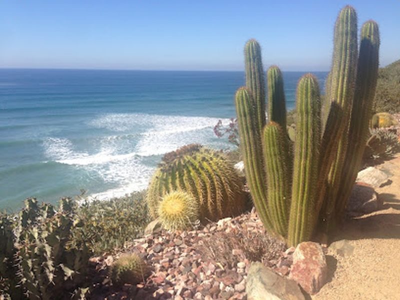 foto deVilla Kali Ma - Holistic Treatment Centers for Women