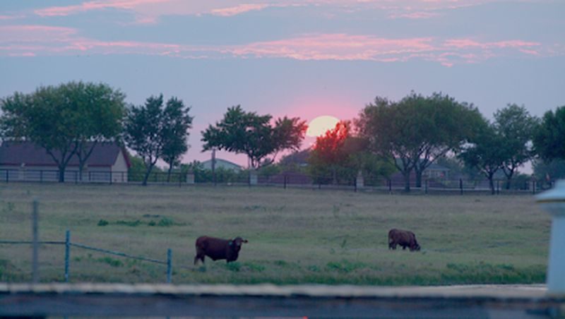 foto deNew Hope Ranch Austin Rehab Center