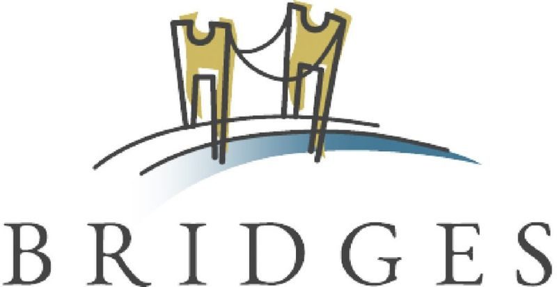 Bridges Professional Treatment Services