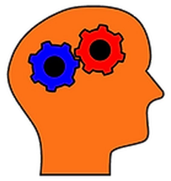 The Cognitive Connection