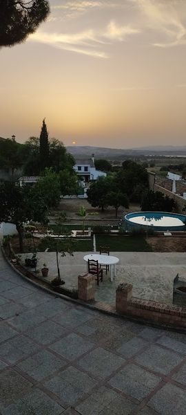 Foto de FUNDACIÓN GIRASOL 